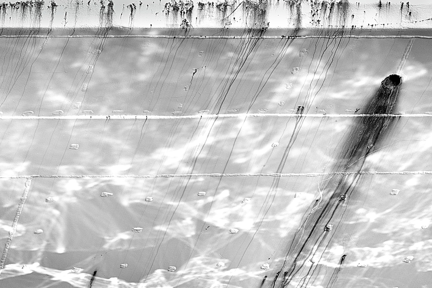Mark Wegner, Photographer - www.markwegner.com