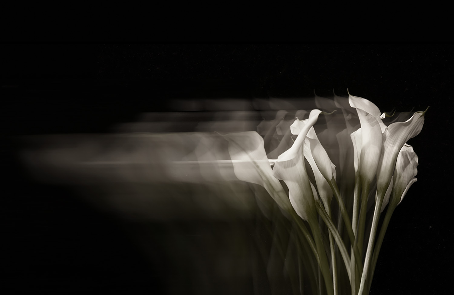 Mark Wegner, Photographer - www.markwegner.com