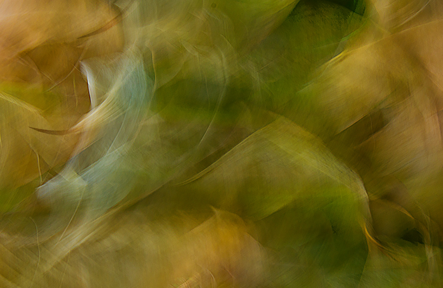 Mark Wegner, Photographer - www.markwegner.com