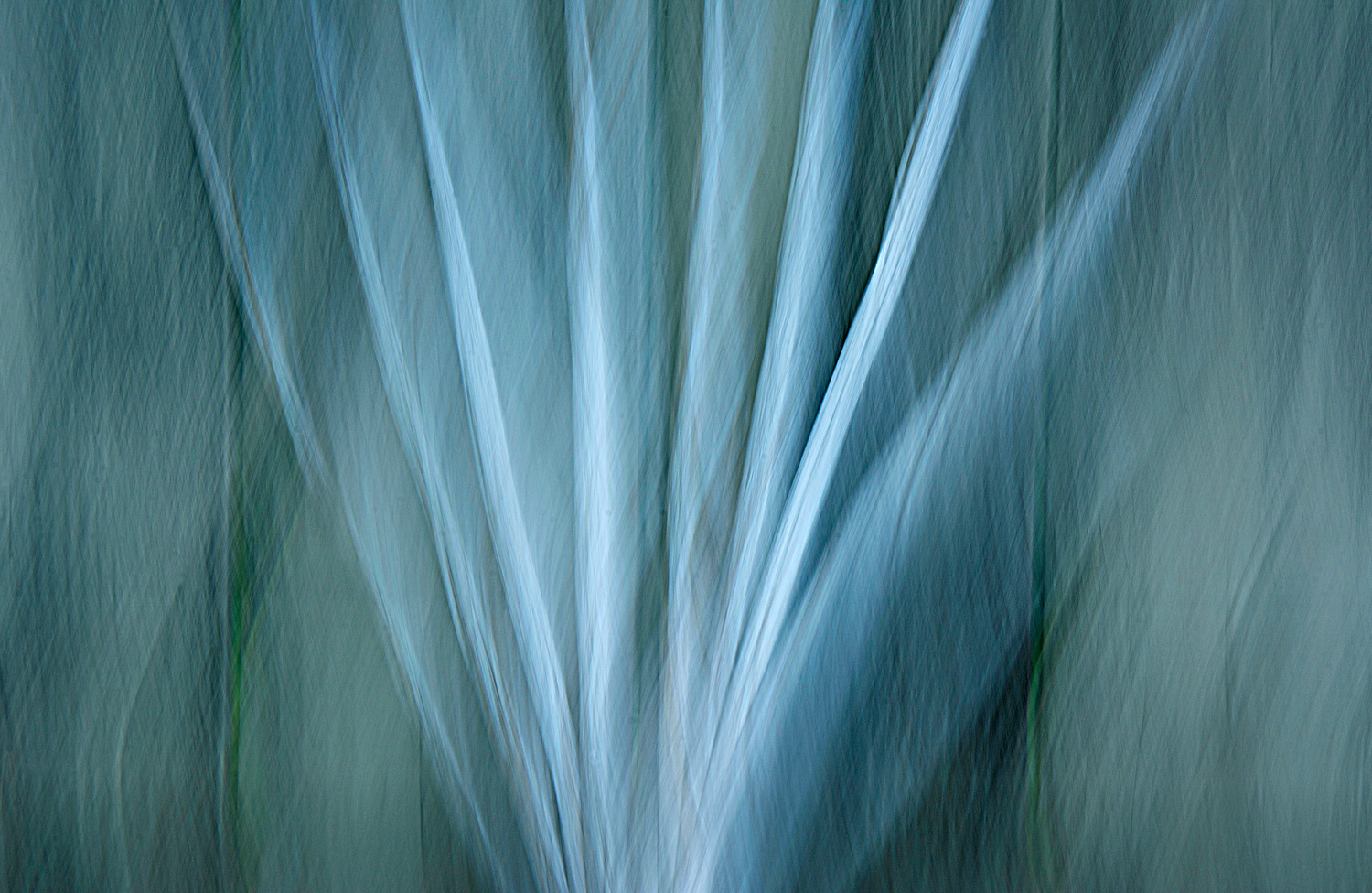 Mark Wegner, Photographer - www.markwegner.com