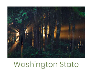 Mark Wegner, Photographer - www.markwegner.com