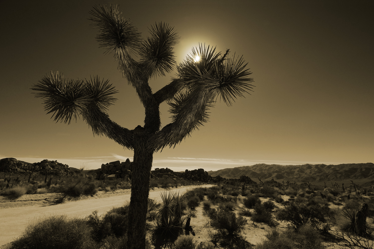 Mark Wegner, Photographer - www.markwegner.com