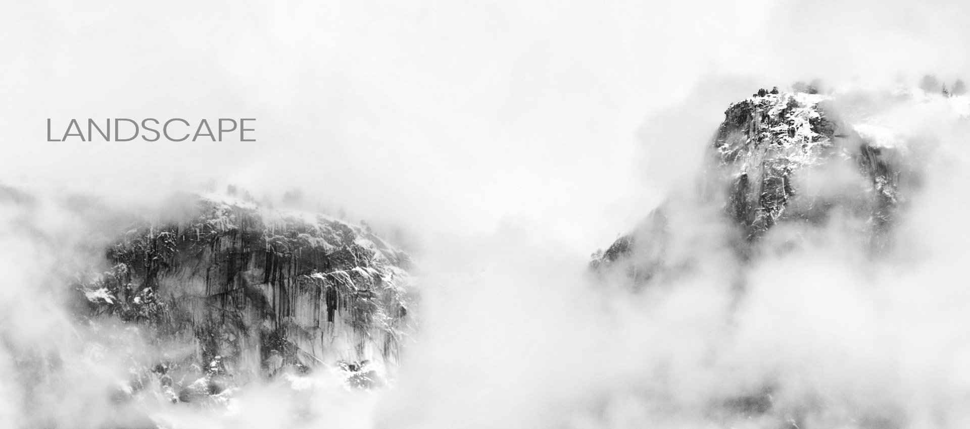 ©Mark Wegner - www.markwegner.com