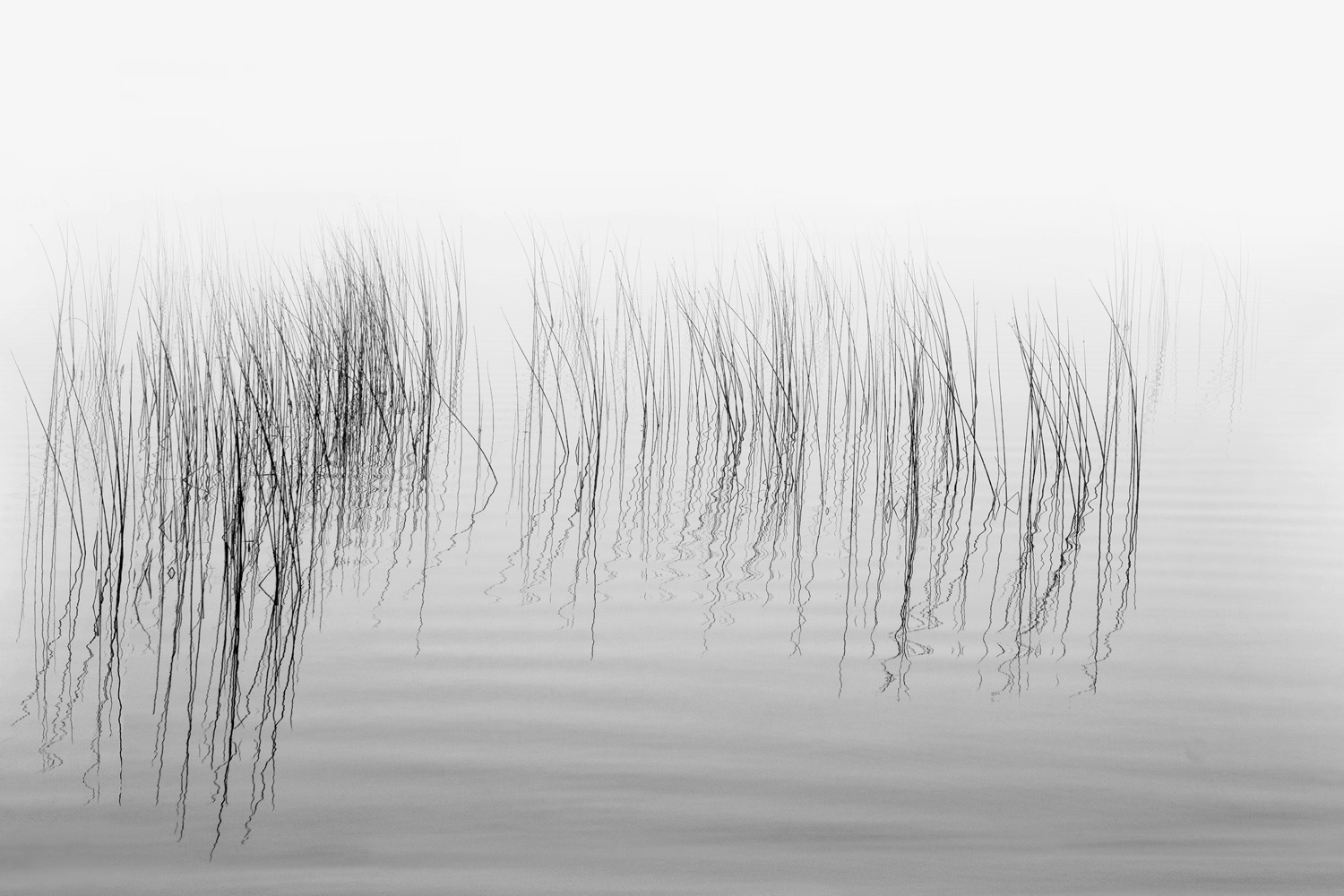 Mark Wegner, Photographer - www.markwegner.com