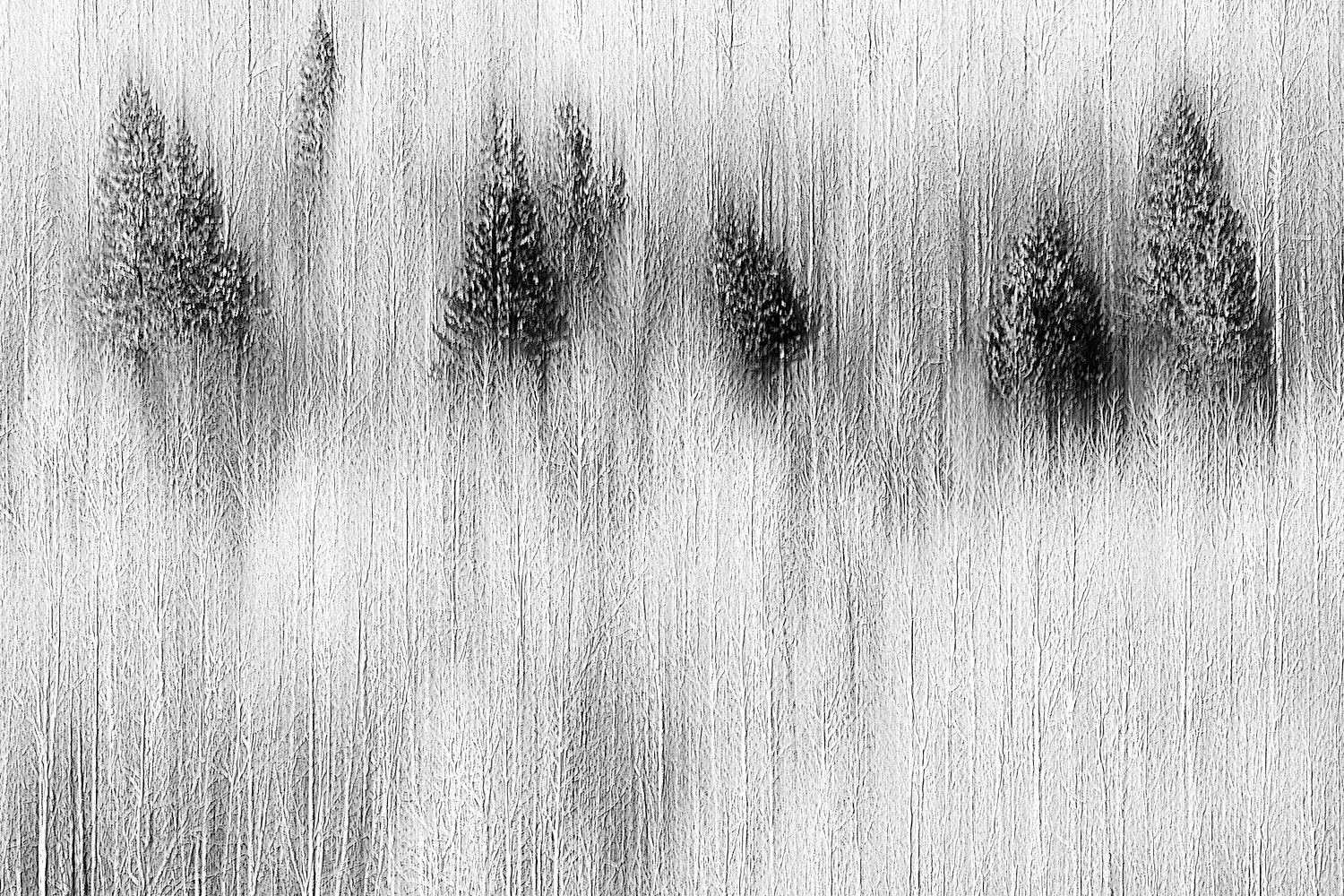 Mark Wegner, Photographer - www.markwegner.com