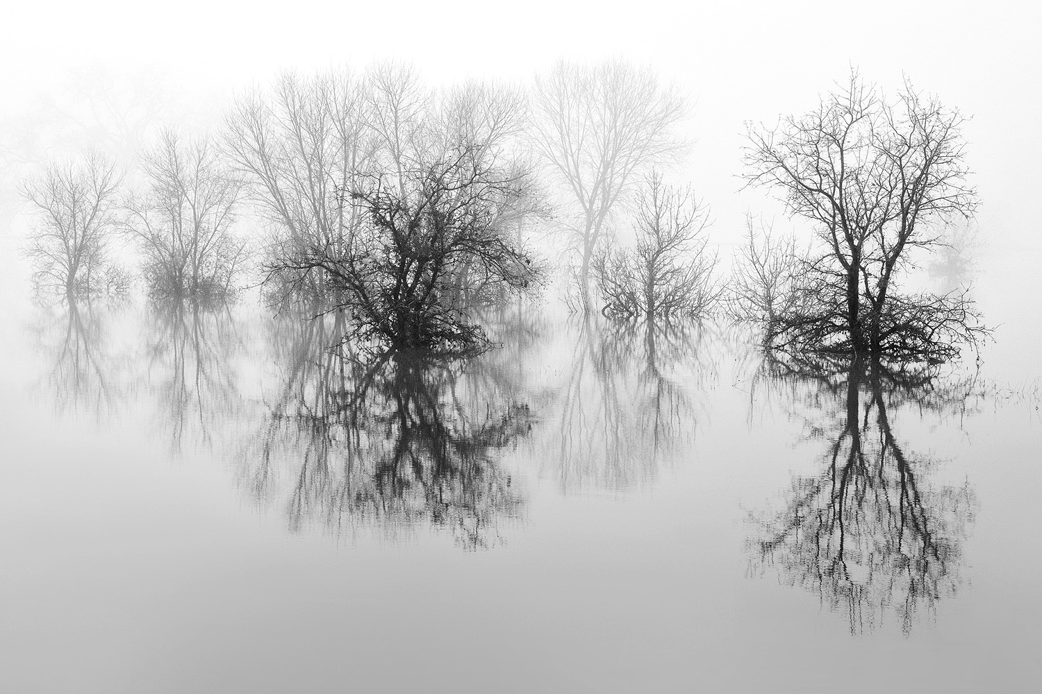 Mark Wegner, Photographer - www.markwegner.com