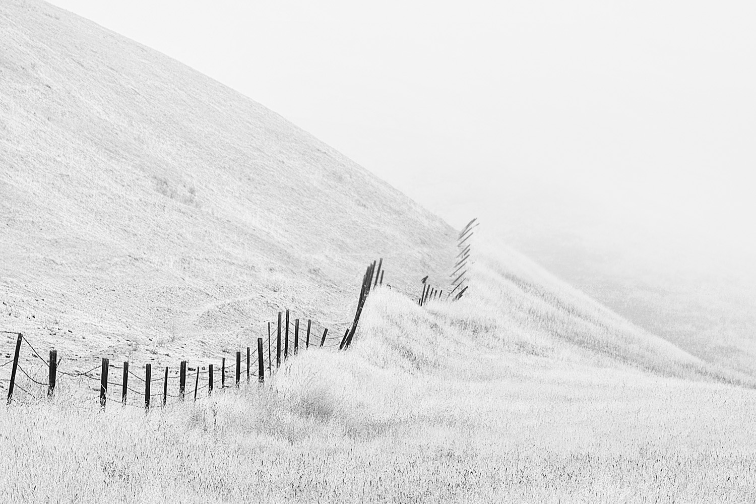 Mark Wegner, Photographer - www.markwegner.com