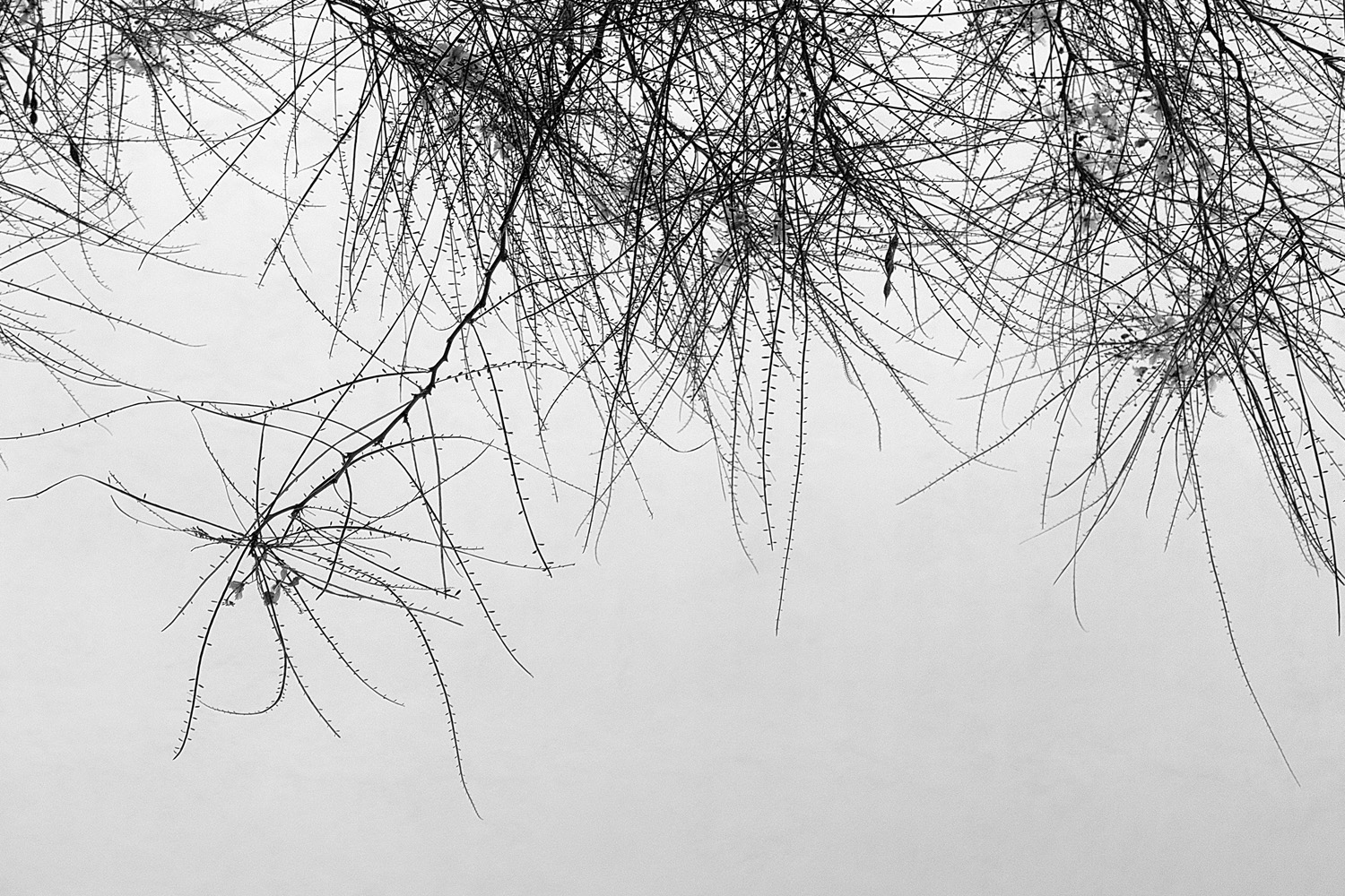 Mark Wegner, Photographer - www.markwegner.com