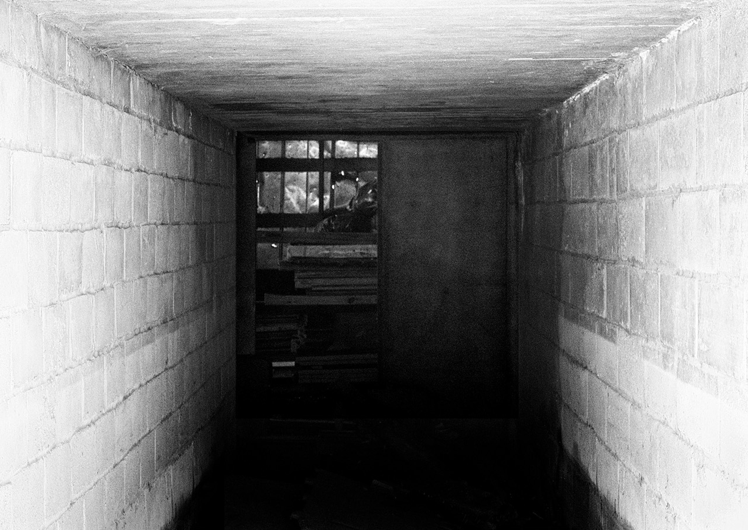 Mark Wegner, Photographer - www.markwegner.com