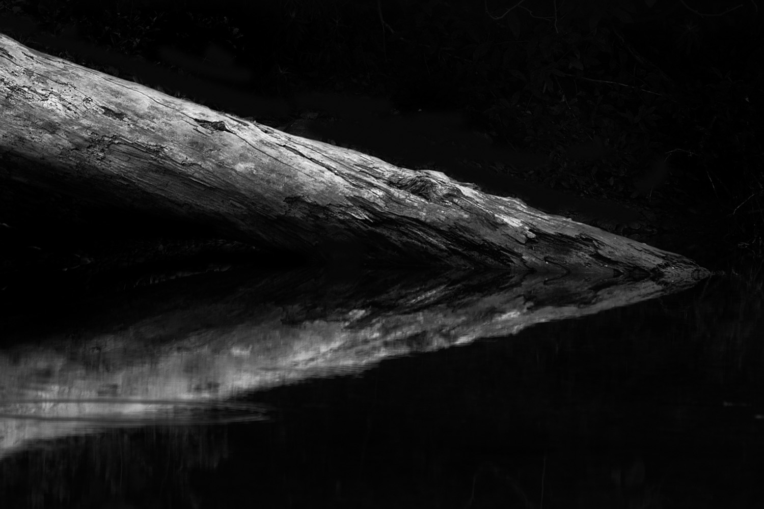 Mark Wegner, Photographer - www.markwegner.com