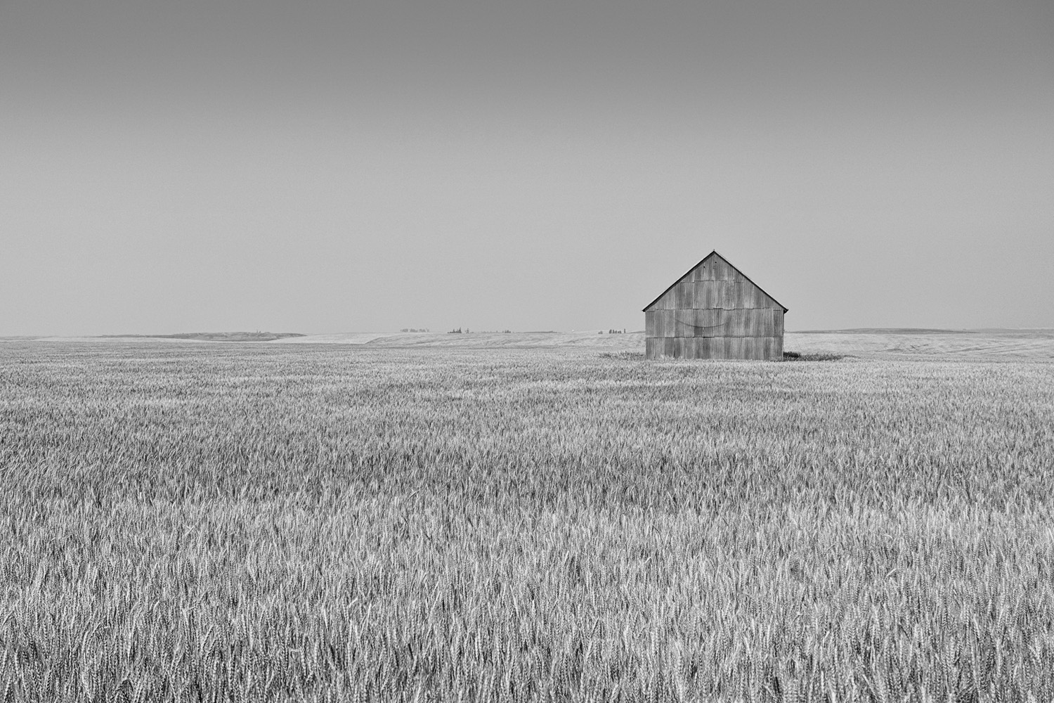 Mark Wegner, Photographer - www.markwegner.com