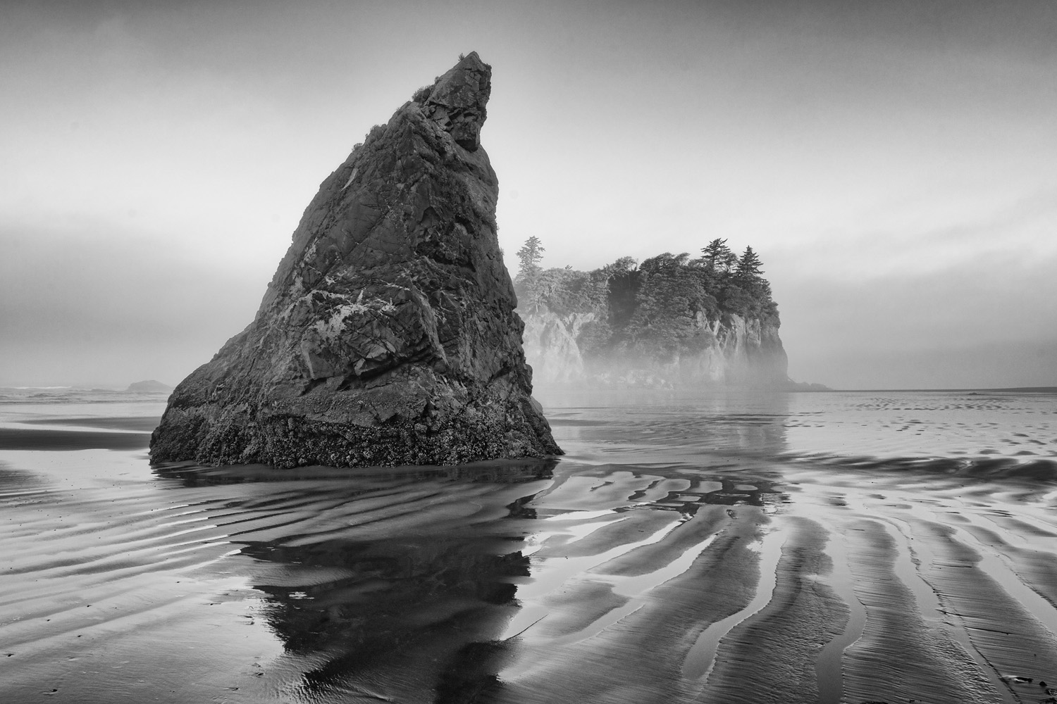 Mark Wegner, Photographer - www.markwegner.com