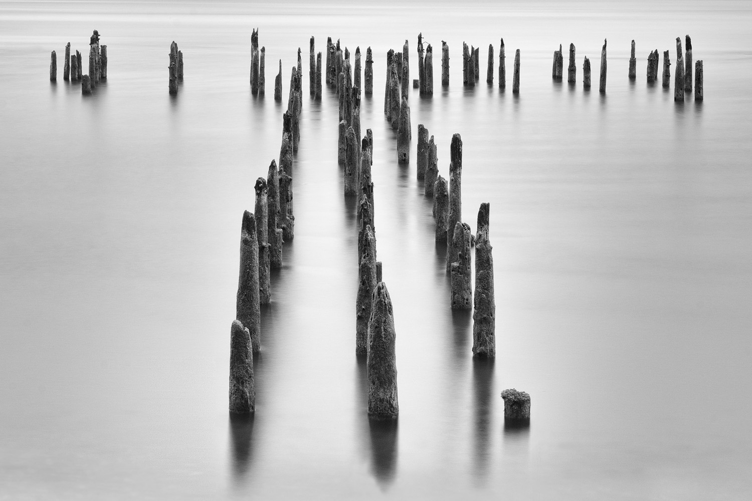 Mark Wegner, Photographer - www.markwegner.com