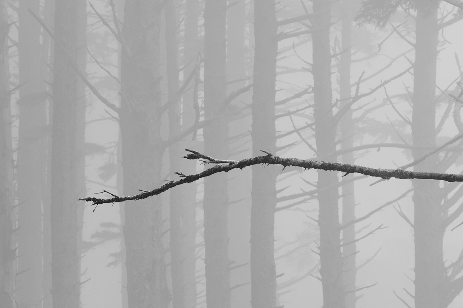 Mark Wegner, Photographer - www.markwegner.com