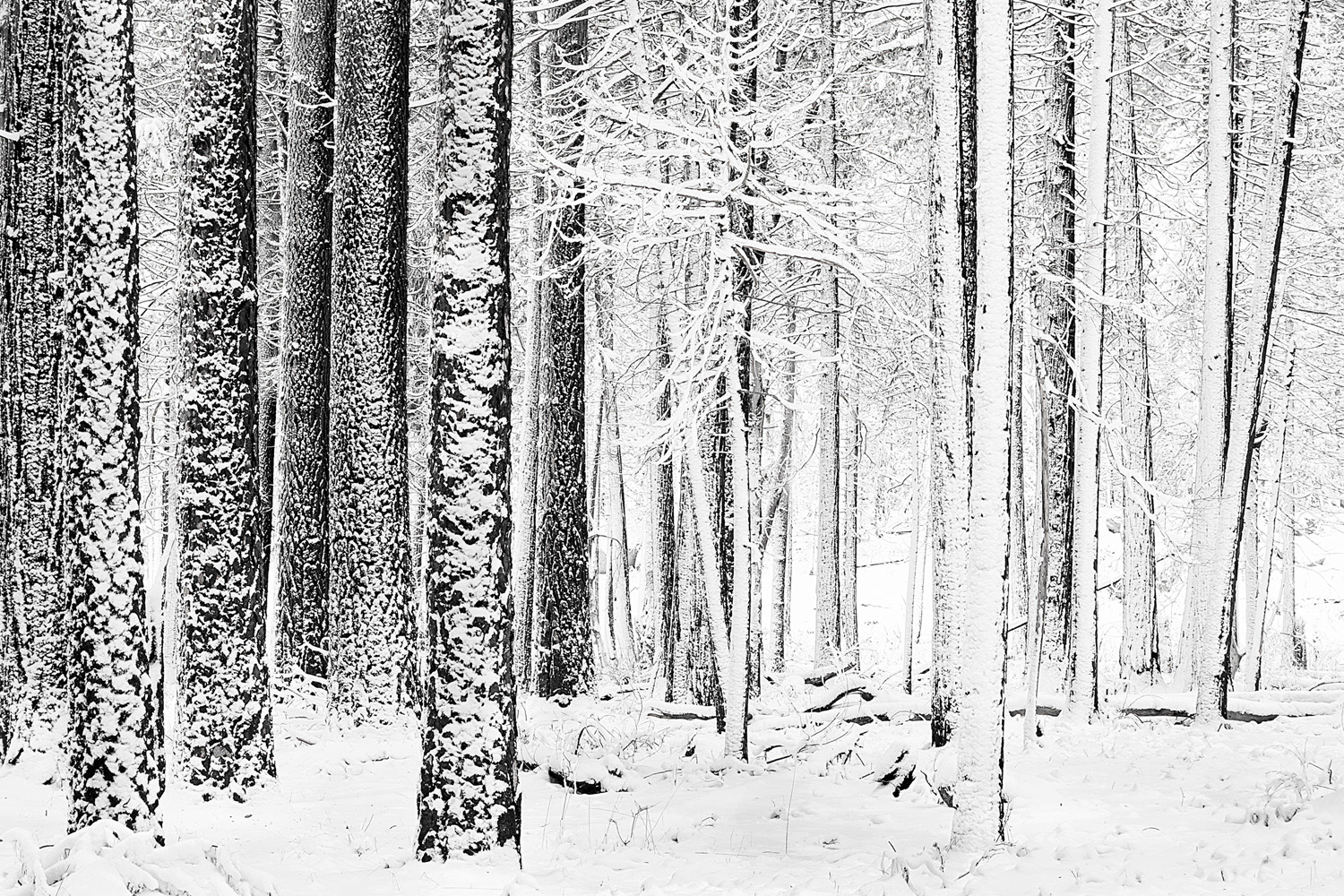 Mark Wegner, Photographer - www.markwegner.com