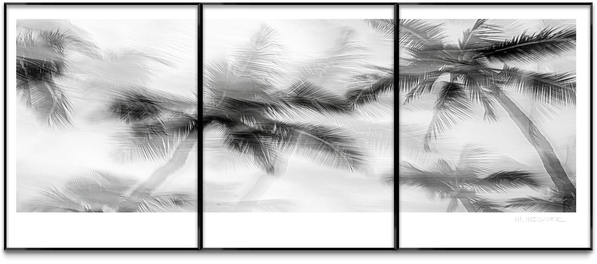 ©Mark Wegner - www.markwegner.com