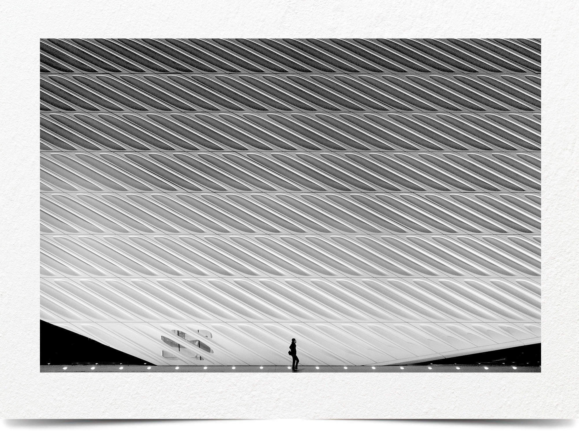 Mark Wegner, Photographer - www.markwegner.com