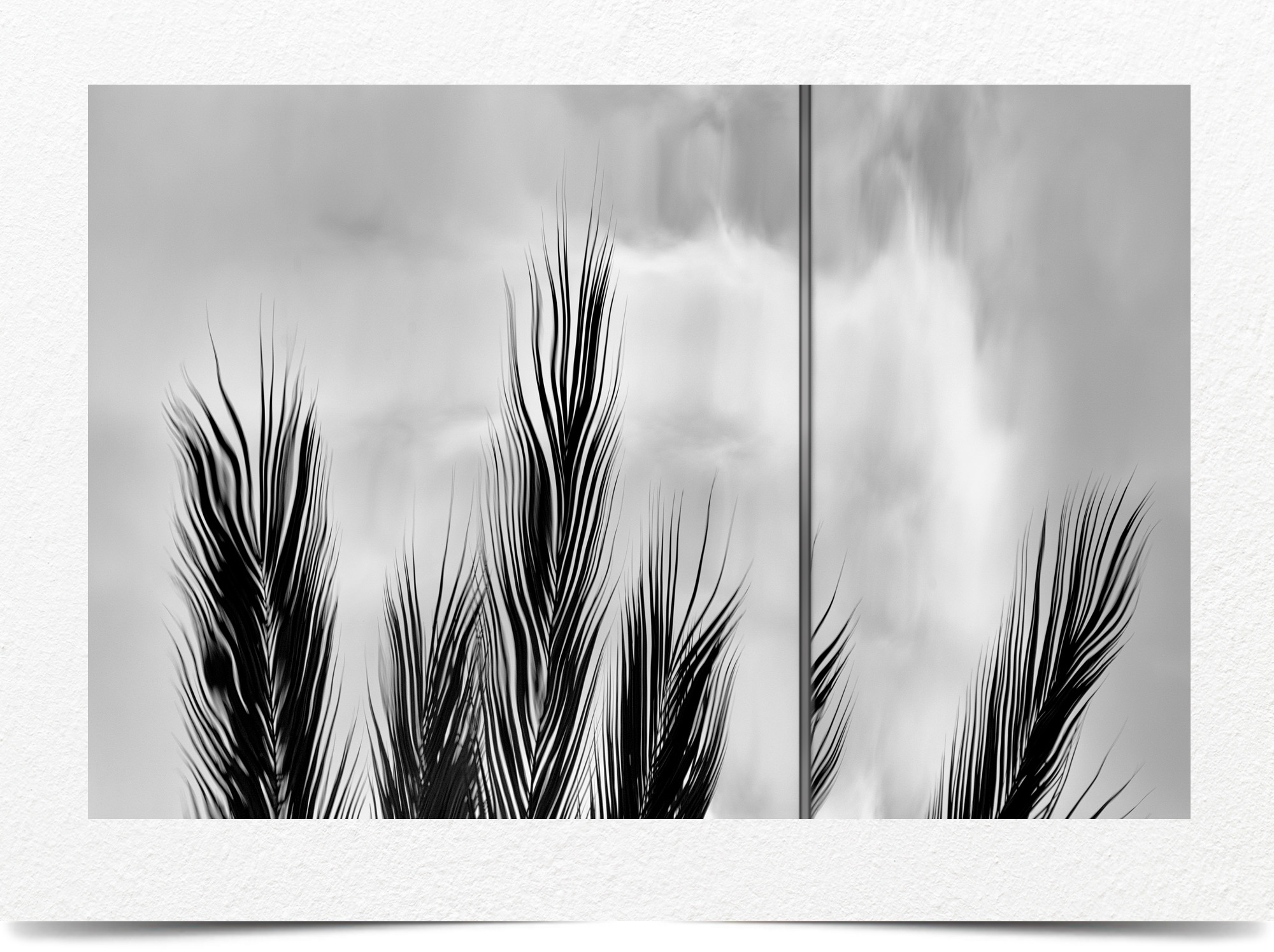 Mark Wegner, Photographer - www.markwegner.com