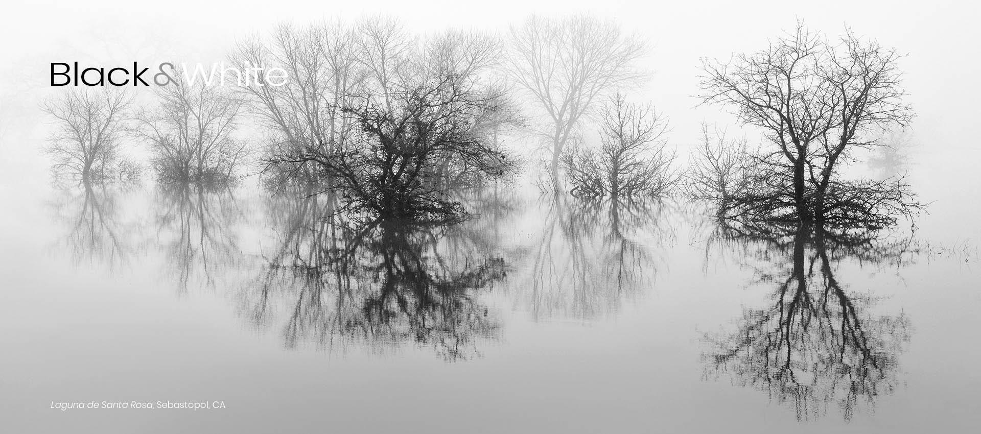 ©Mark Wegner - www.markwegner.com
