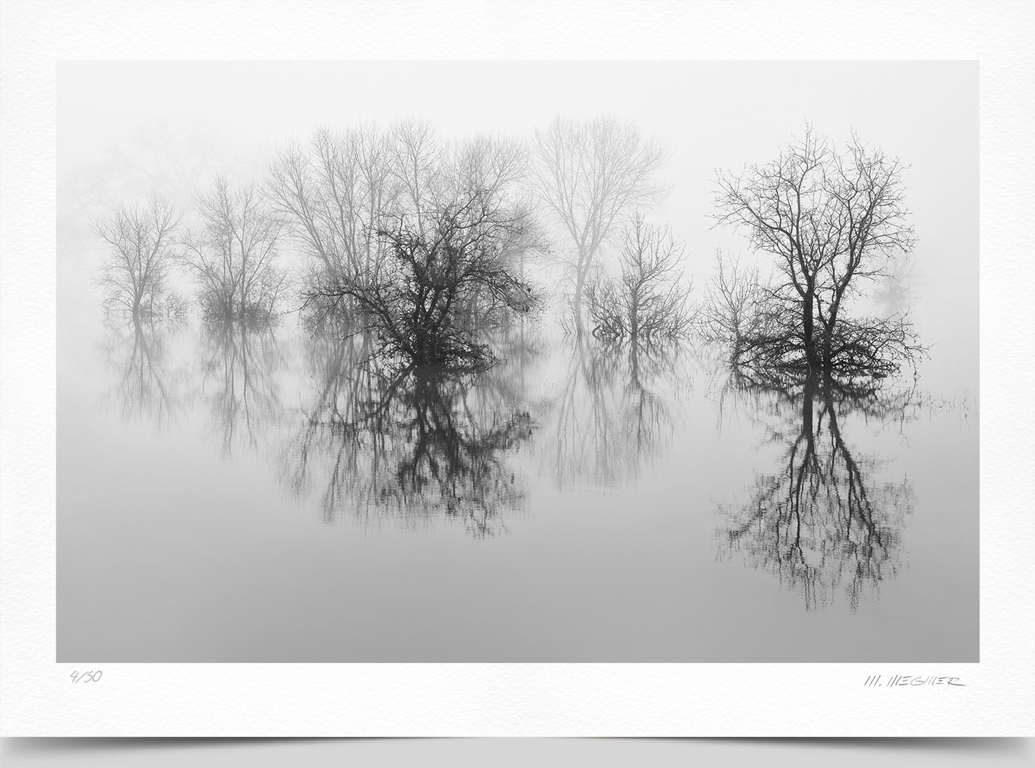 Mark Wegner, Photographer - www.markwegner.com