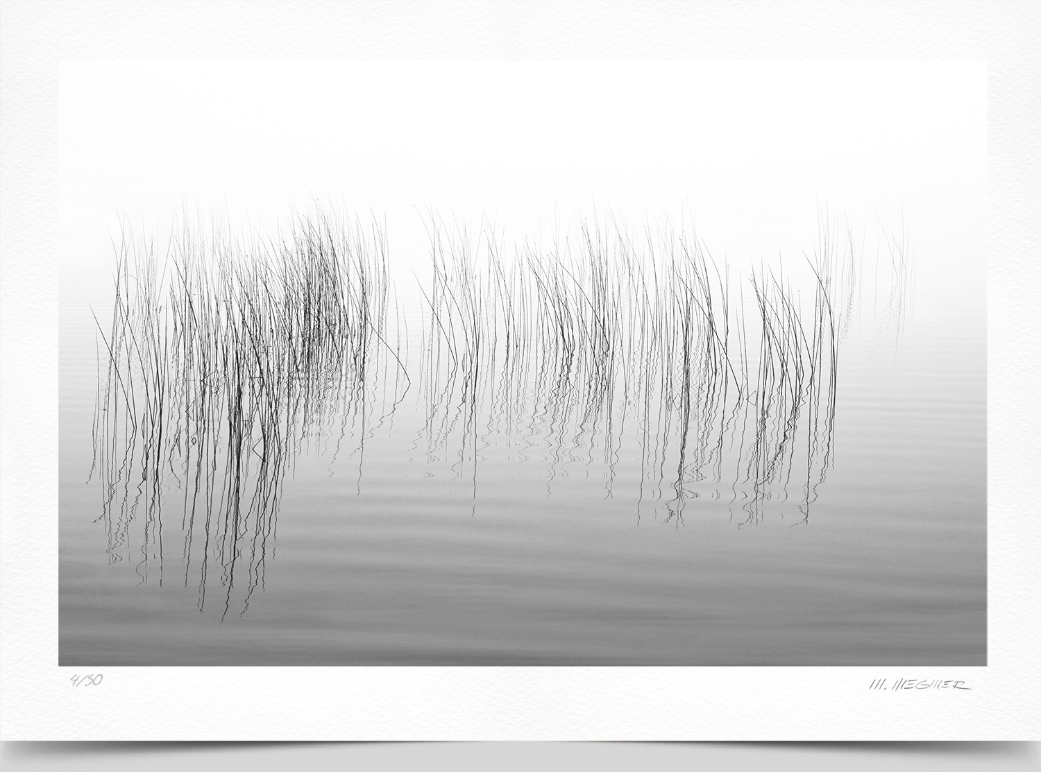Mark Wegner, Photographer - www.markwegner.com